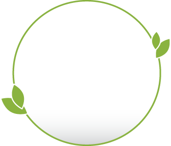 Sign in to TreeRing