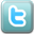 Twitter Button Icon